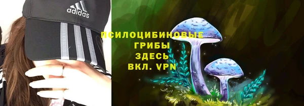 a pvp Белокуриха