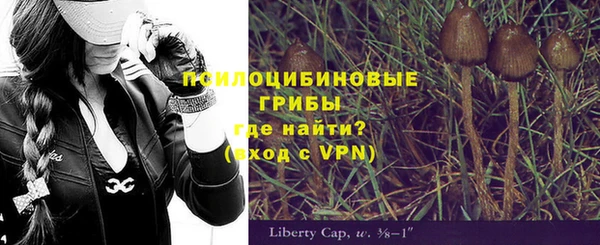 a pvp Белокуриха