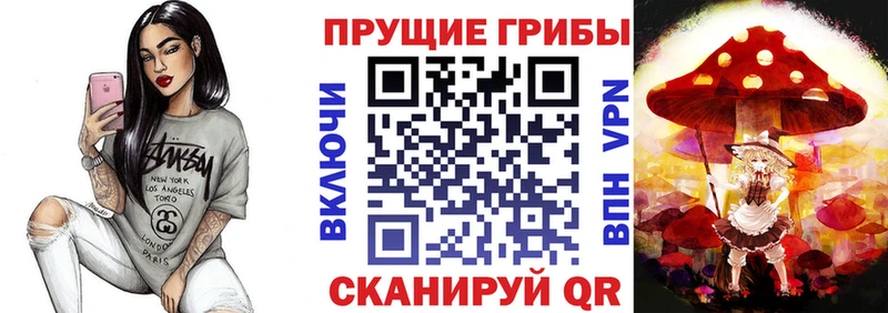 Галлюциногенные грибы Psilocybe  Воркута 